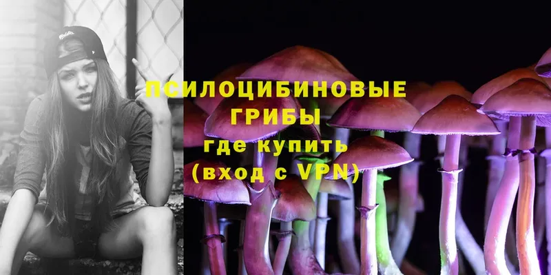 Псилоцибиновые грибы Cubensis  Калининец 